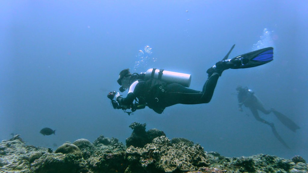 P1020729.jpg