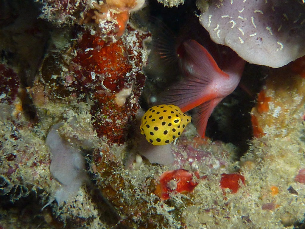 P1050388.JPG