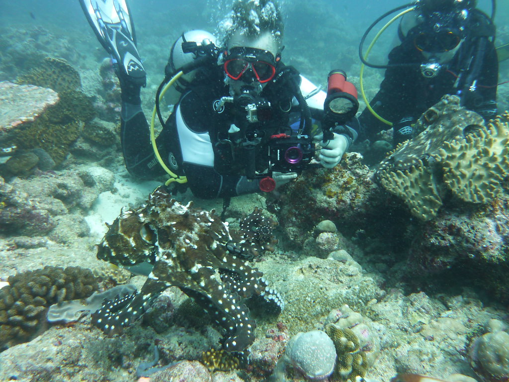 P1050663.JPG