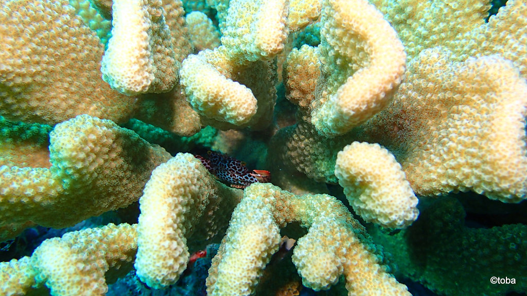 003-P2271231.JPG
