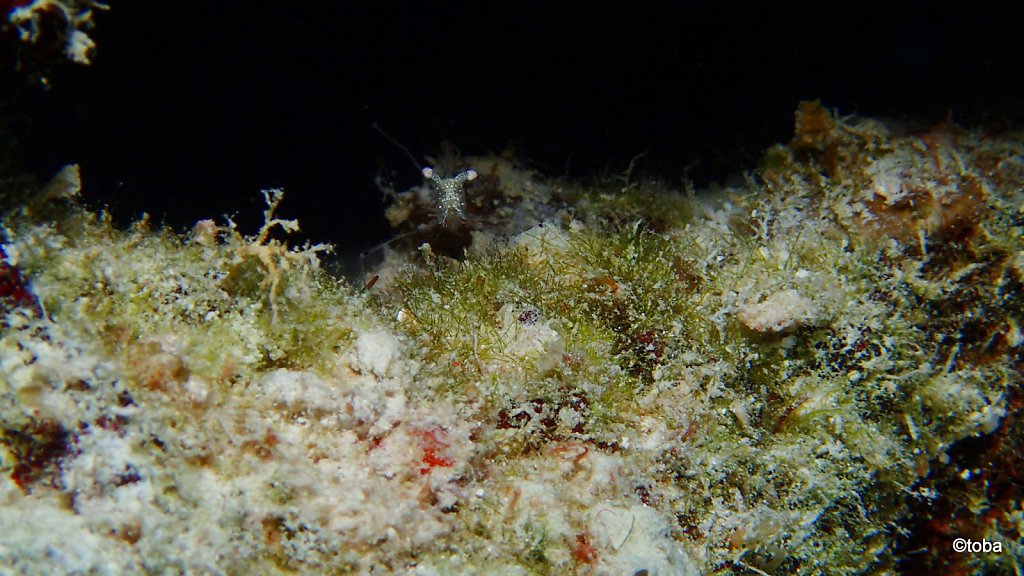 014-P2281397.JPG