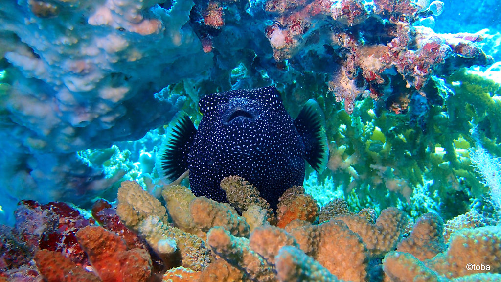 023-P3021548.JPG