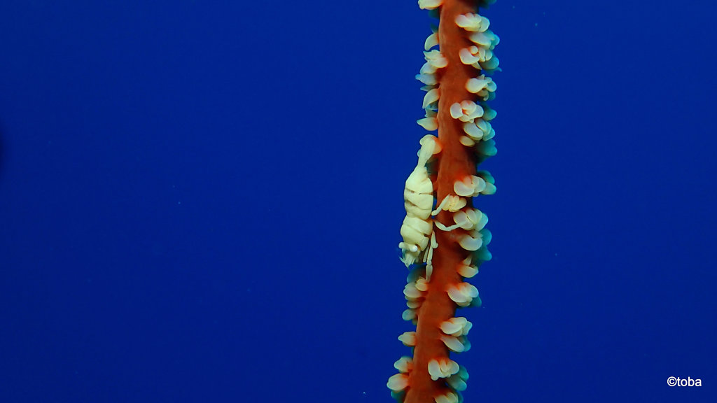 107-P3102453.JPG