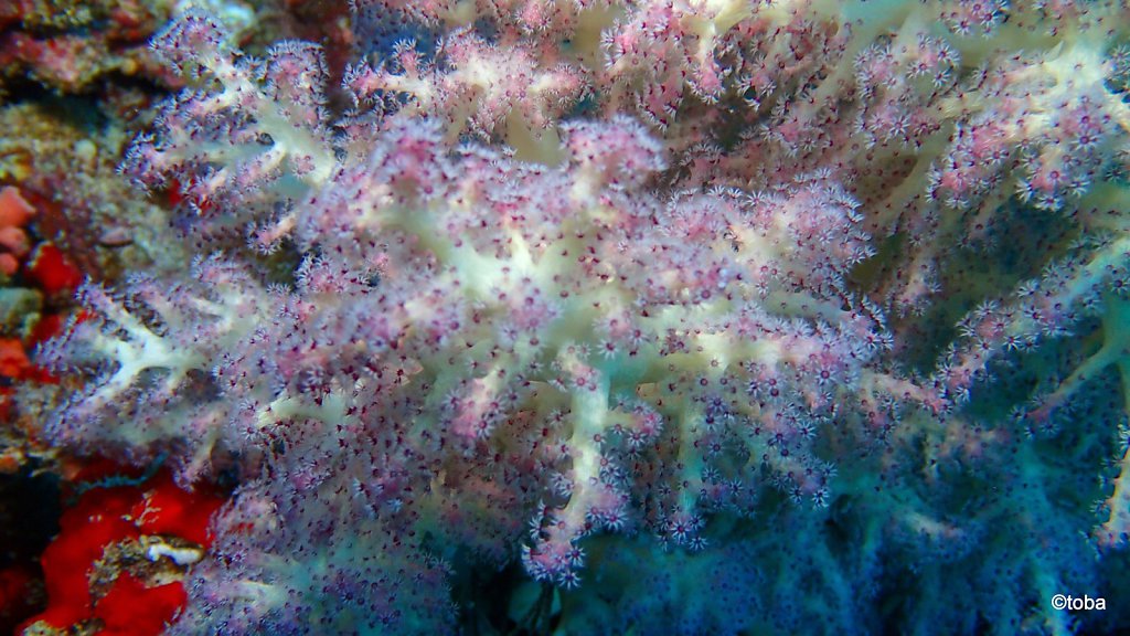 121-P3112630.JPG