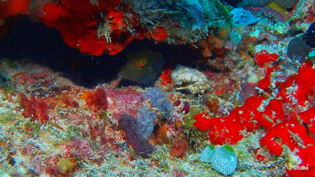 123-P3112695.JPG