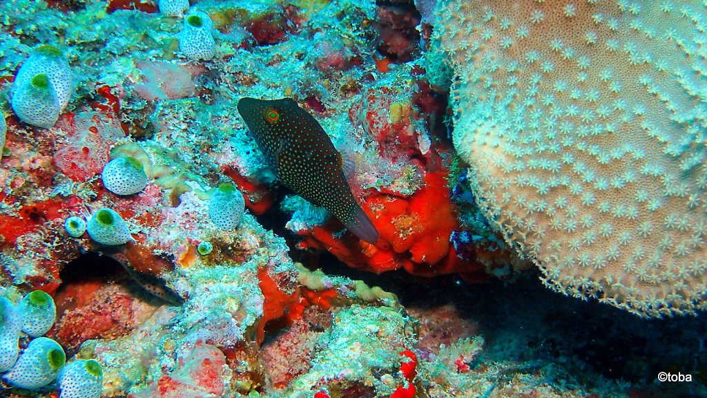 124-P3112700.JPG