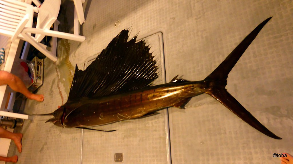 130-P1050059.JPG