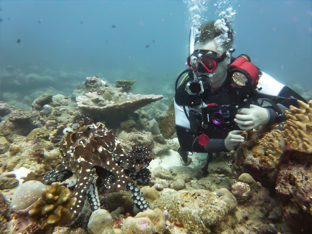 Torsten-Oktopus.JPG